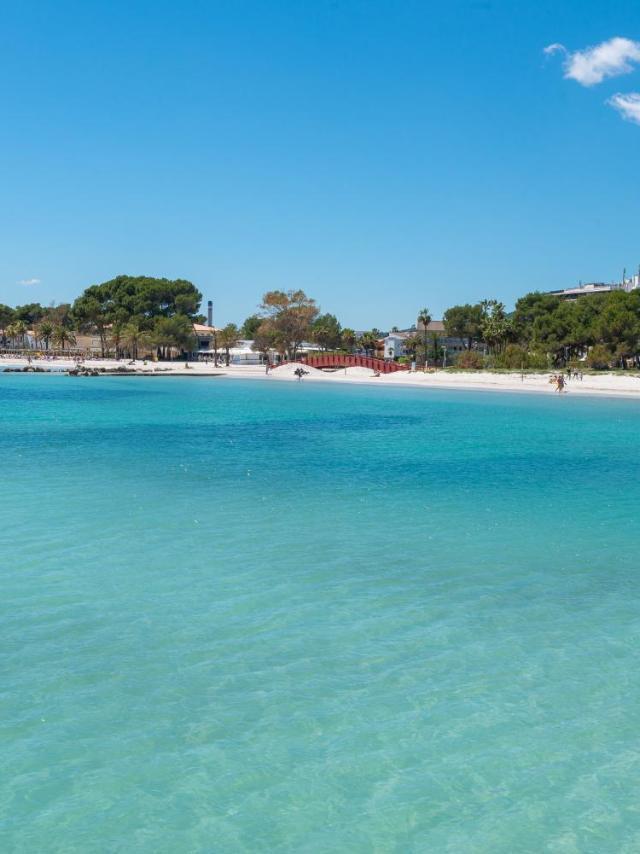 Apartment Just on the Beach in Port Alcudia – billede 9