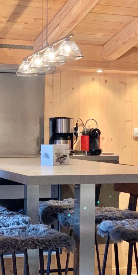 Homency - Residence Menandiere E6 – Alpe d'Huez