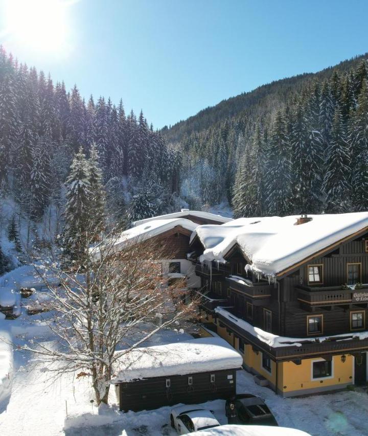 Standard Double Room (1 double bed) - Free WiFi – Pension Lederergutl