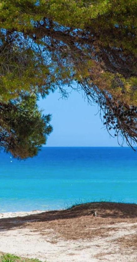 Apartment Countess Garden 3-1, Sun of the Bay 1, at Alcudia Beach – billede 2
