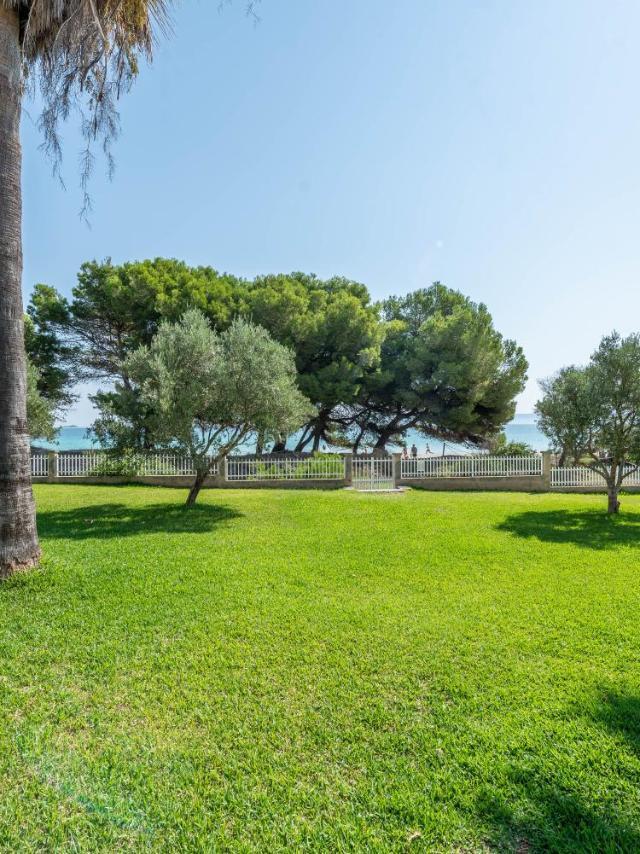 Apartment Countess Garden 3-1, Sun of the Bay 1, at Alcudia Beach – billede 10