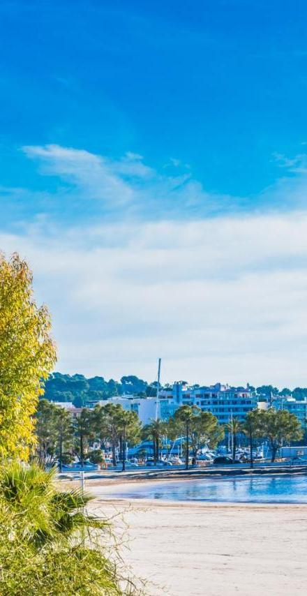 Ideal Property Mallorca - Cittadini 37 – billede 3