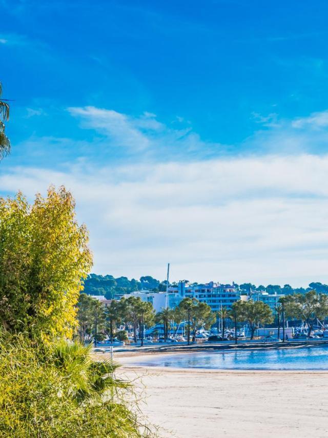 Ideal Property Mallorca - Cittadini 37 – billede 3