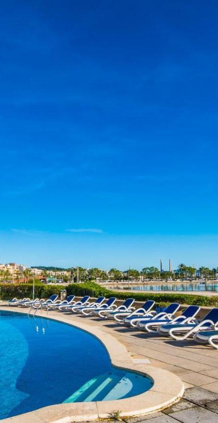 Ideal Property Mallorca - Cittadini 37 – billede 5