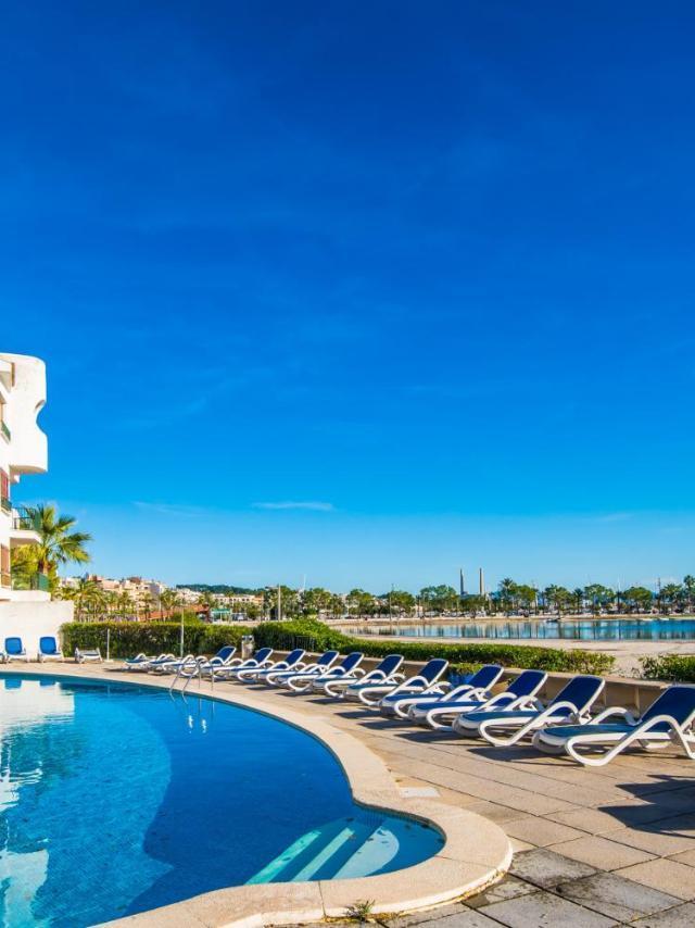 Ideal Property Mallorca - Cittadini 37 – billede 5