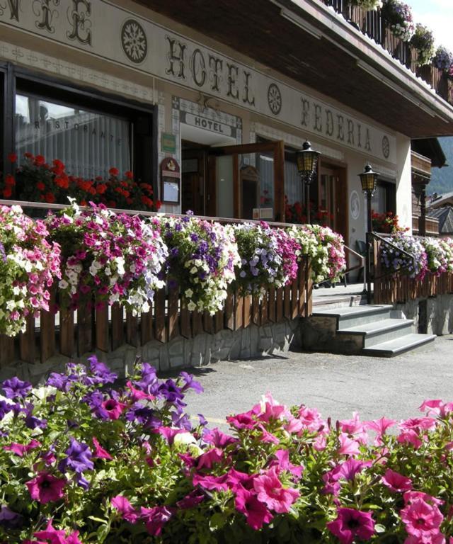Hotel Federia