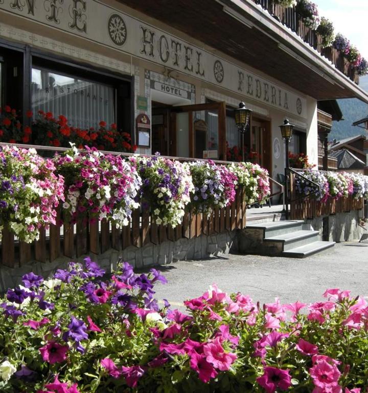 Triple room - Standard – Hotel Federia