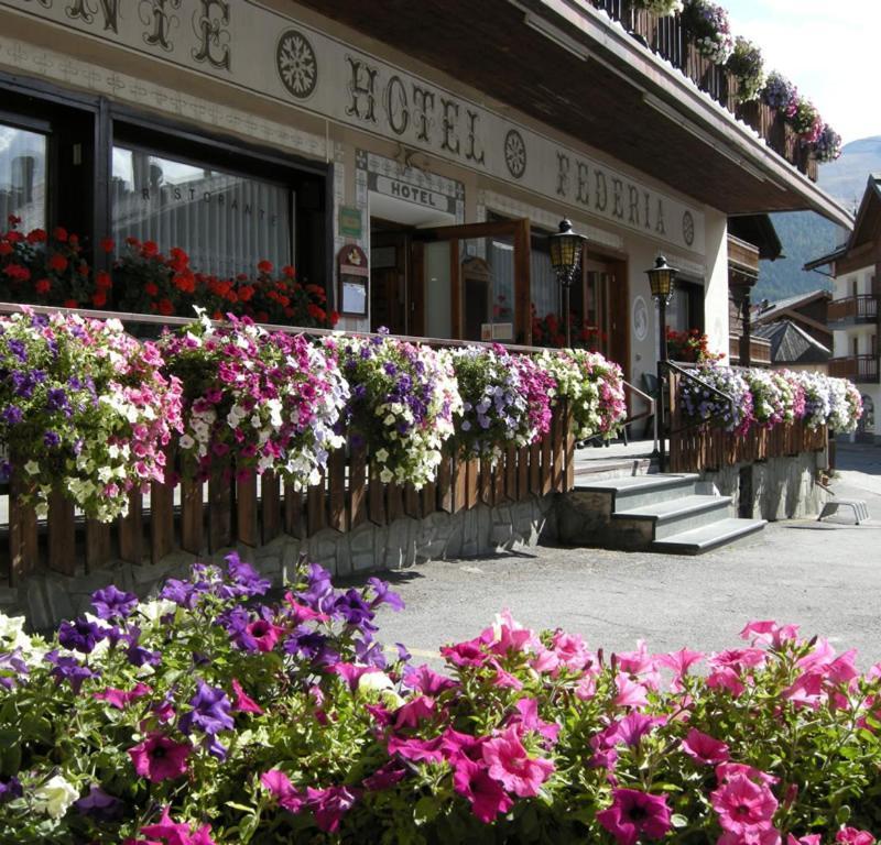 Hotel Federia