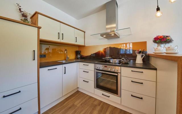 Hochwart Apartment - in Der Nahe Der Liftstation Schonleiten – billede 7