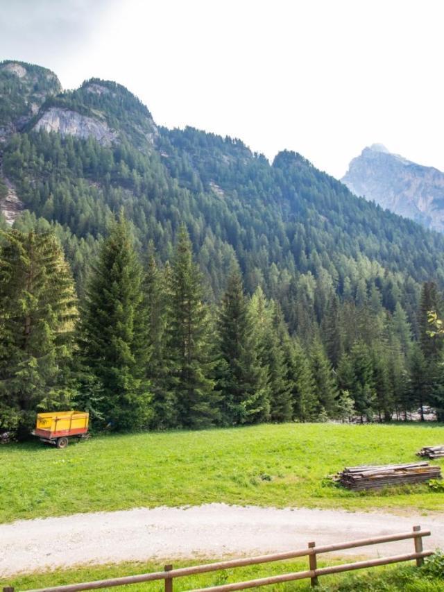 A Un Passo Dagli Impianti - Penia di Canazei – billede 5