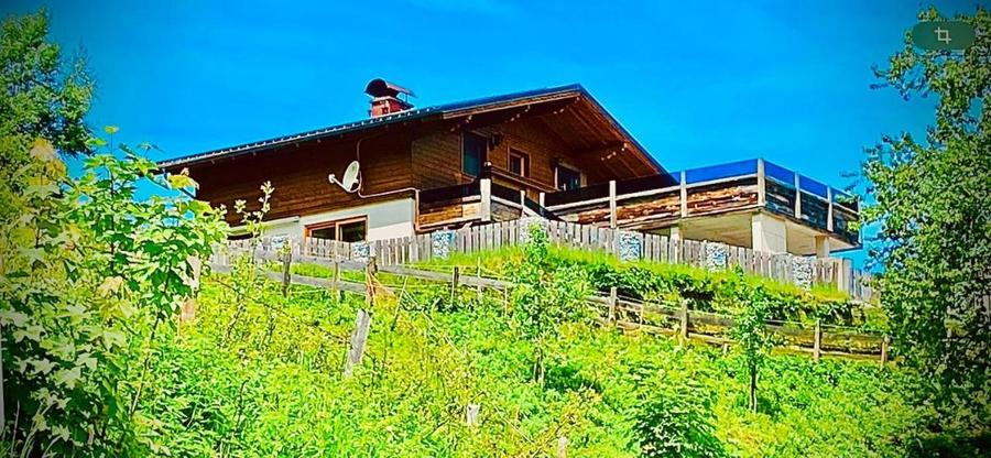 Apartment Wagrainblick