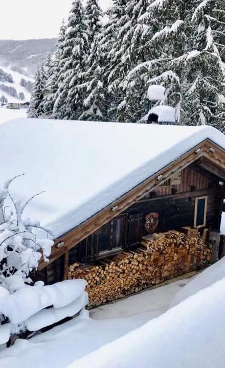 Wasserfallhutte Saalbach – billede 4