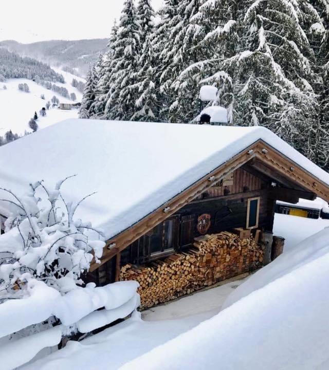 Wasserfallhutte Saalbach – billede 4