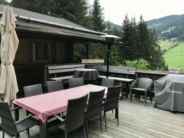 Wasserfallhutte Saalbach – billede 8