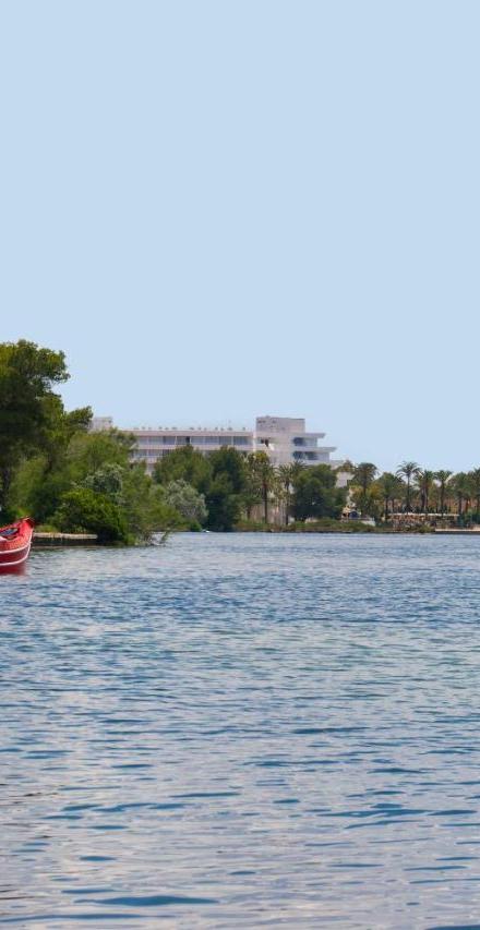 M411 Massanet by Mallorca Villa Selection – billede 4