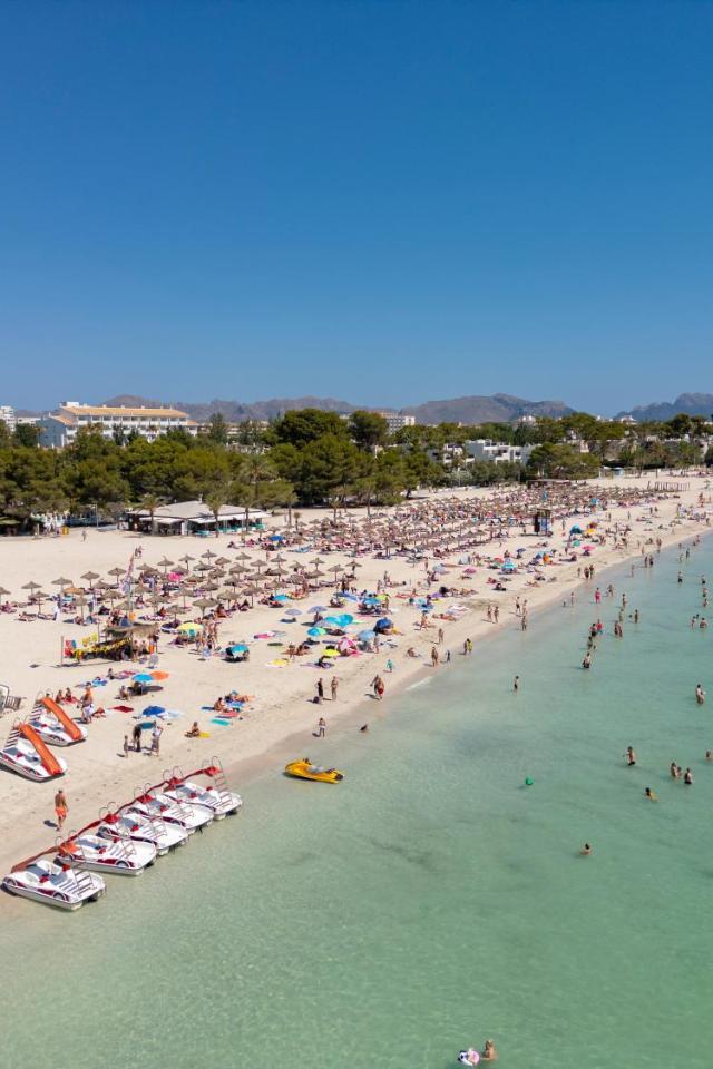 M411 Massanet by Mallorca Villa Selection – billede 6