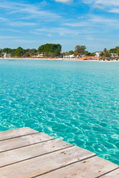 Apartamento Pine Beach En Alcudia – Alcúdia