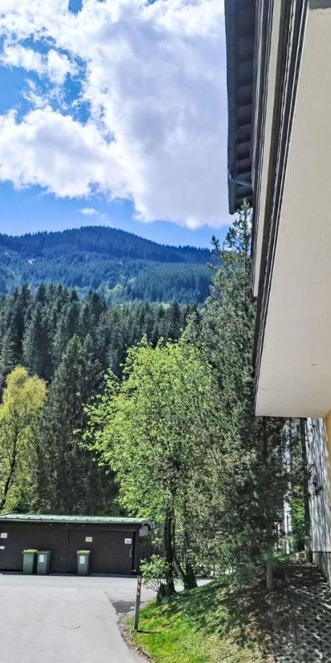 Apartment Schattberg by Interhome – Saalbach