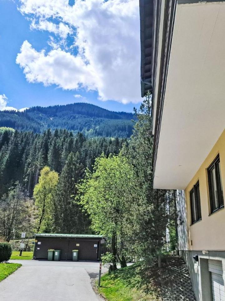 Studio (1 double bed) – Apartment Schattberg by Interhome