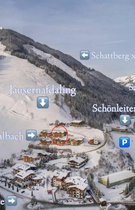 Holidayhome with Sauna Genieten in Saalbach Top E2 – billede 3