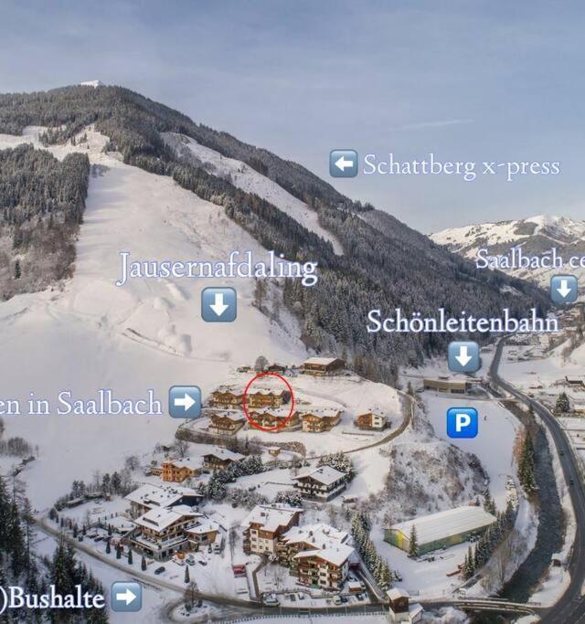 Holidayhome with Sauna Genieten in Saalbach Top E2 – billede 3