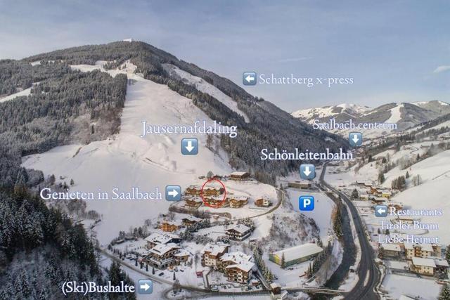 Holidayhome with Sauna Genieten in Saalbach Top E2 – billede 3