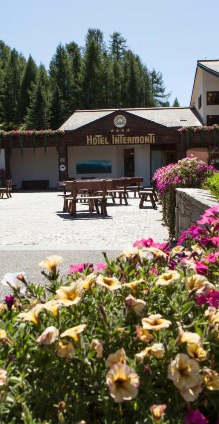 Hotel Intermonti – billede 2