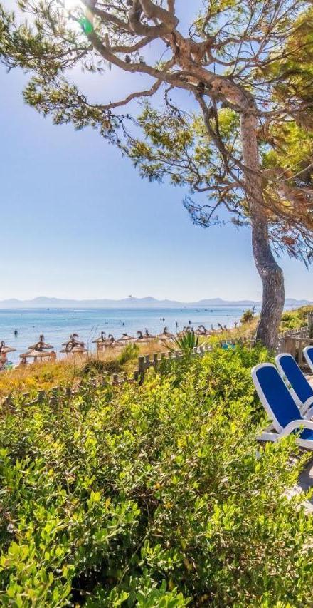 Ideal Property Mallorca - Gaviotas – billede 1