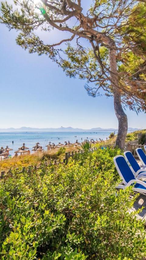 Ideal Property Mallorca - Gaviotas – Alcúdia