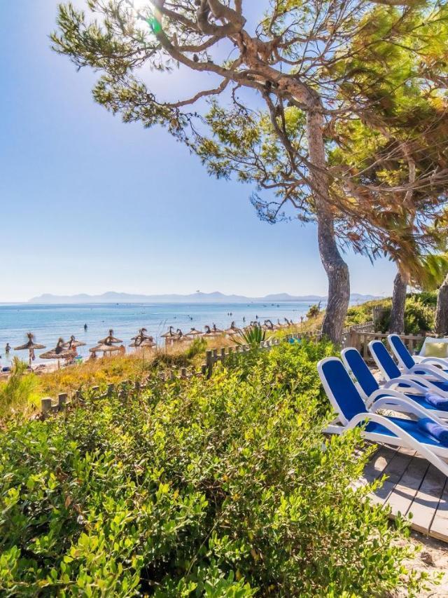 Ideal Property Mallorca - Gaviotas