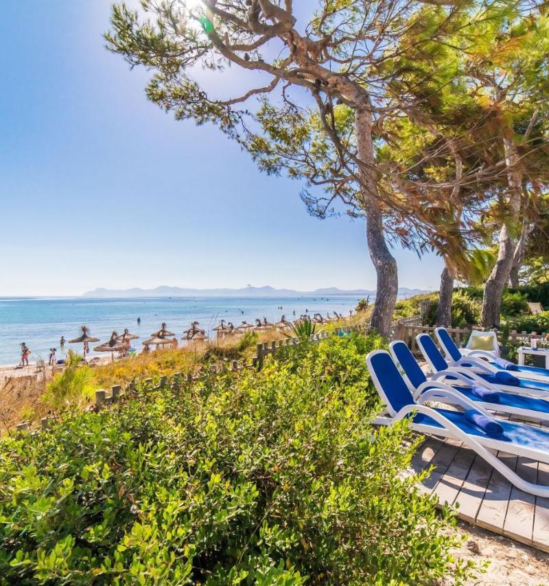 Ideal Property Mallorca - Gaviotas