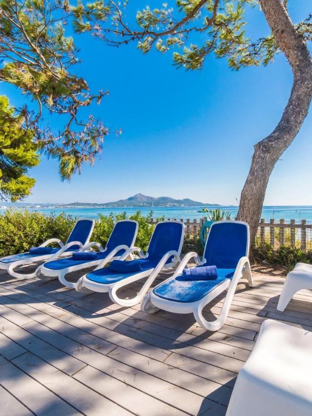 Ideal Property Mallorca - Gaviotas – billede 3