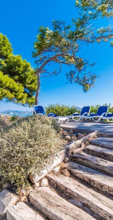 Ideal Property Mallorca - Gaviotas – billede 5