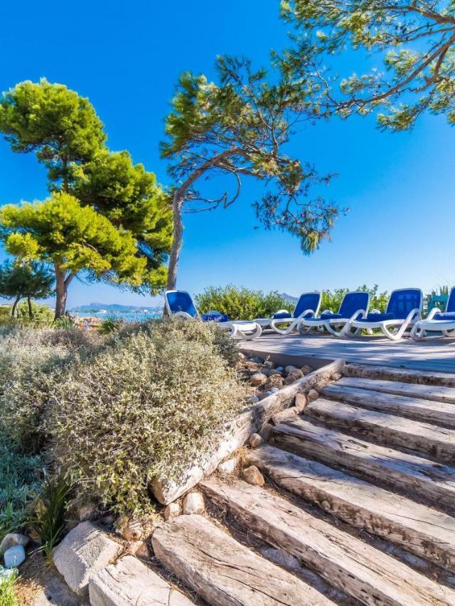 Ideal Property Mallorca - Gaviotas – billede 5