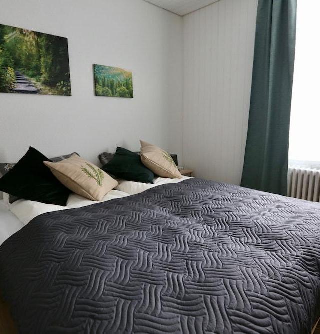 Alp Apartments with Self Check-In – billede 5