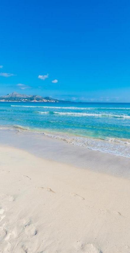 Apartamento Pinebeach – billede 1