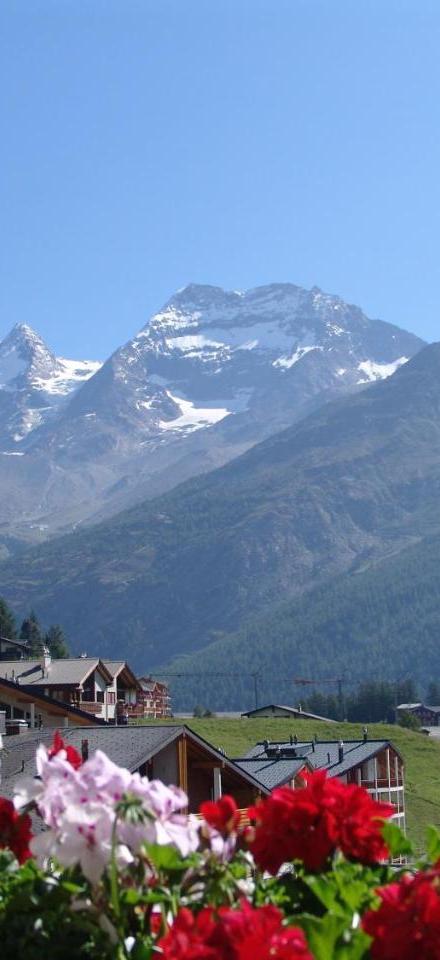 Apartments Alpenfirn Saas-Fee – billede 1