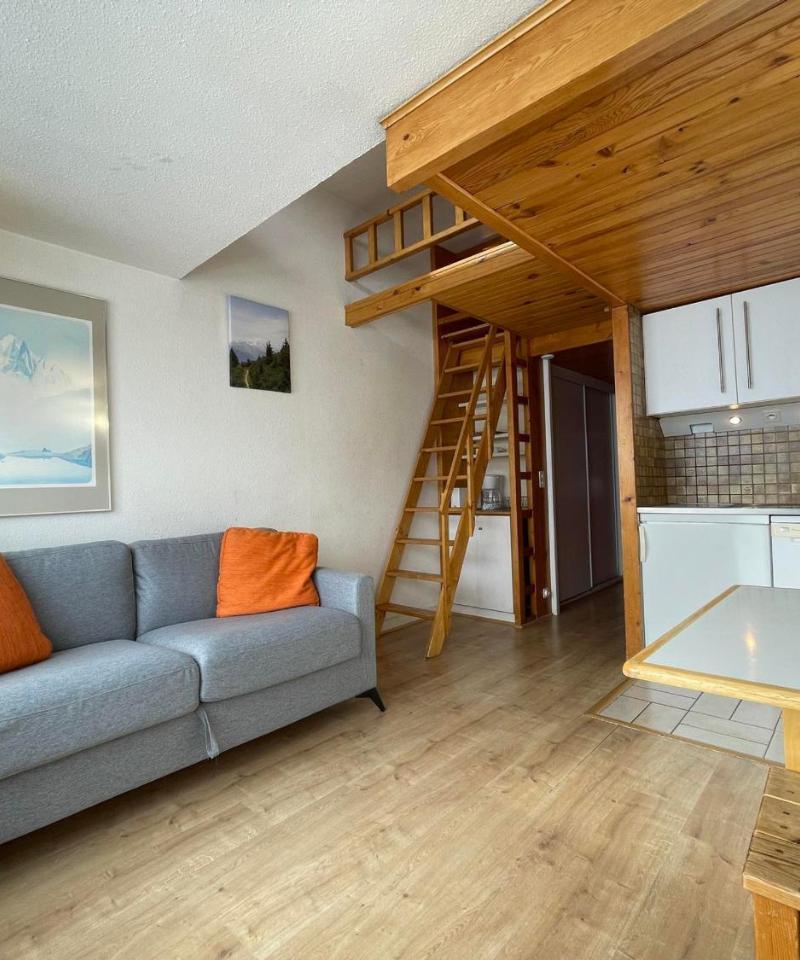 Studio Mezzanine Economique Pour 2 Avec Balcon - Animaux Admis - Fr-1-452-152