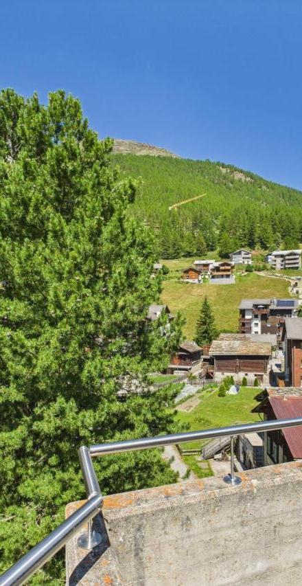 Family & Friends Cabin in Saas-Fee – billede 4