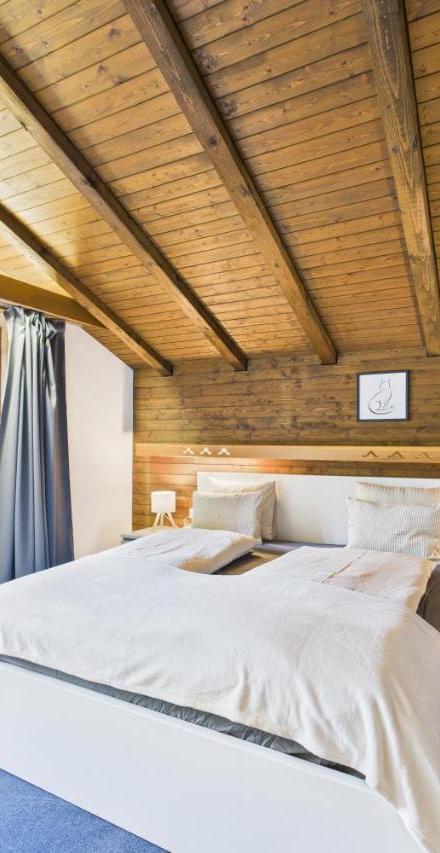 Family & Friends Cabin in Saas-Fee – billede 5