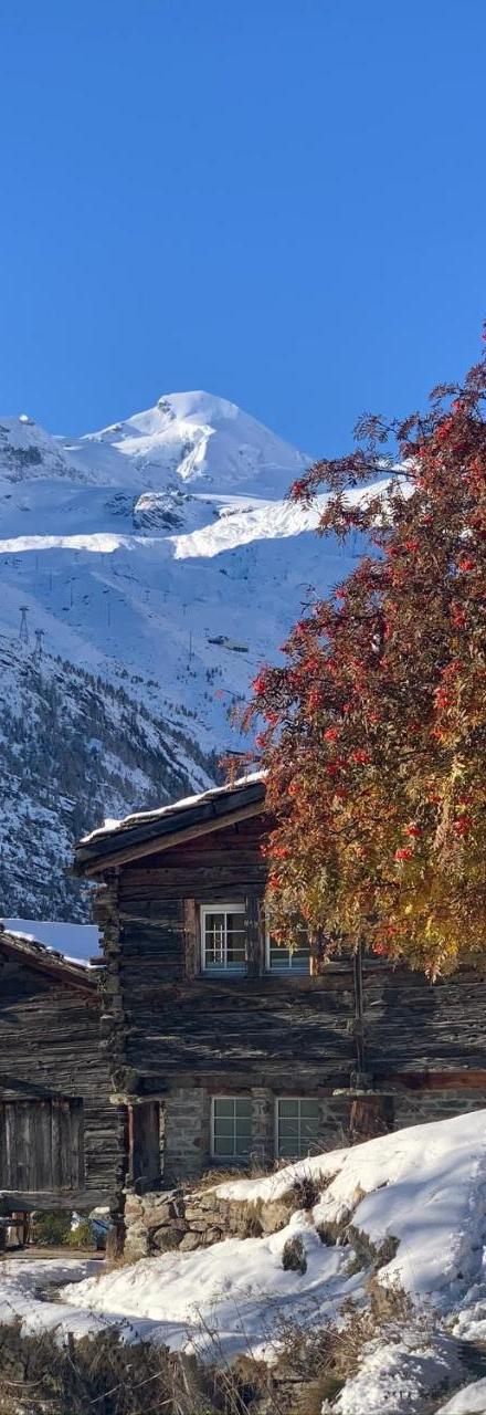 Chalet Birkhahn – billede 2