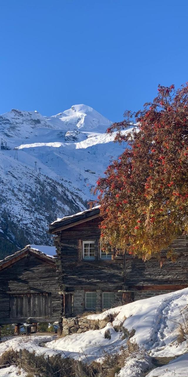 Chalet Birkhahn – billede 2