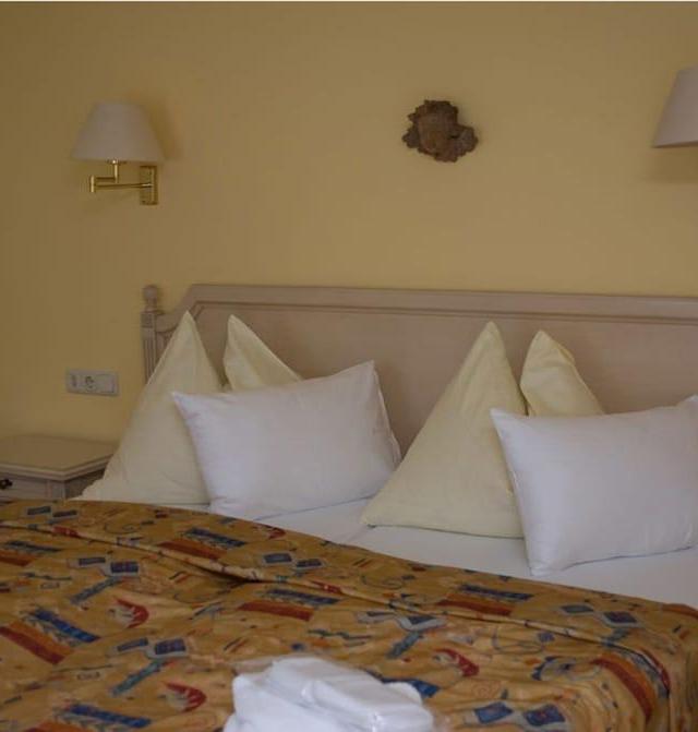 Thermal Resort Hotel Elisabethpark – billede 8