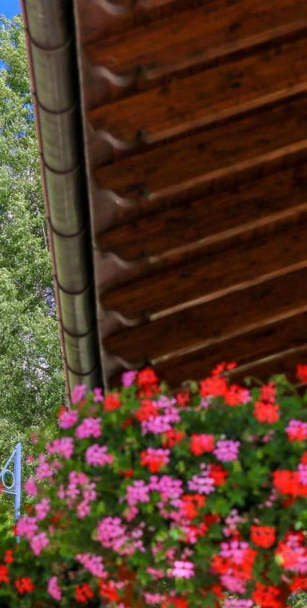 Apartaments Cesa Crepa Neigra-Fam. Planchensteiner – billede 5