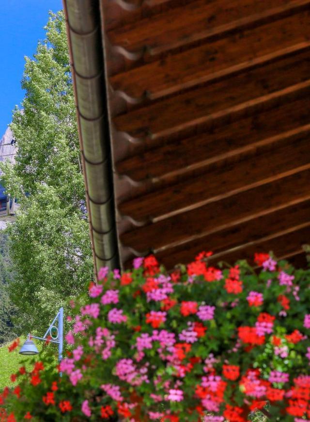 Apartaments Cesa Crepa Neigra-Fam. Planchensteiner – billede 5
