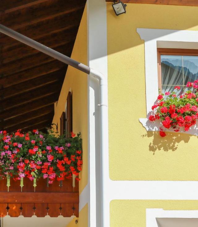 Apartaments Cesa Crepa Neigra-Fam. Planchensteiner – billede 8