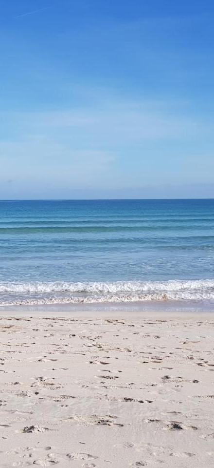 Ideal Property Mallorca - Sa Dalia – billede 2