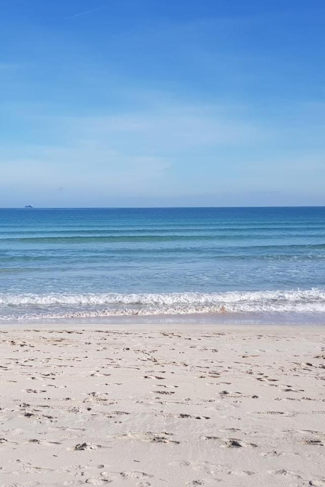 Ideal Property Mallorca - Sa Dalia – billede 2