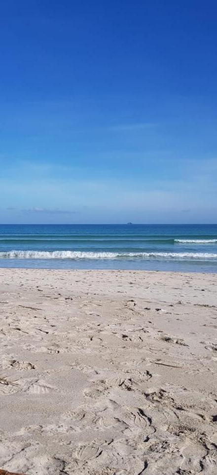 Ideal Property Mallorca - Sa Dalia – billede 3