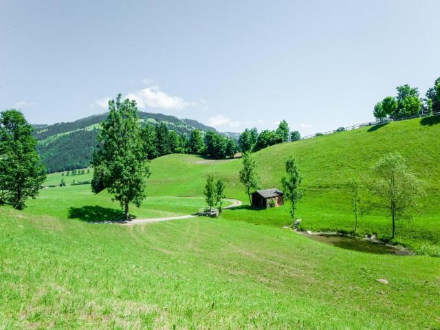 Apartment Near Gondola in Tyrol – billede 6
